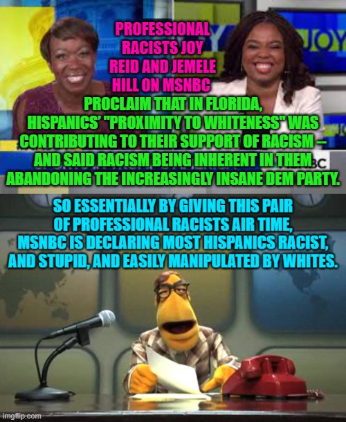 Do leftists EVER think ANYTHING through before opening their mouths? | PROFESSIONAL RACISTS JOY REID AND JEMELE HILL ON MSNBC; PROCLAIM THAT IN FLORIDA, HISPANICS’ "PROXIMITY TO WHITENESS" WAS CONTRIBUTING TO THEIR SUPPORT OF RACISM -- AND SAID RACISM BEING INHERENT IN THEM ABANDONING THE INCREASINGLY INSANE DEM PARTY. | image tagged in reality | made w/ Imgflip meme maker