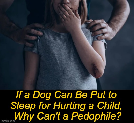 Protection of children & reversing the unconscionable trafficking numbers today should be a priority. | If a Dog Can Be Put to 
Sleep for Hurting a Child, 
Why Can't a Pedophile? | image tagged in politics,children,protection,trafficking,unconscionable behavior,priorities | made w/ Imgflip meme maker