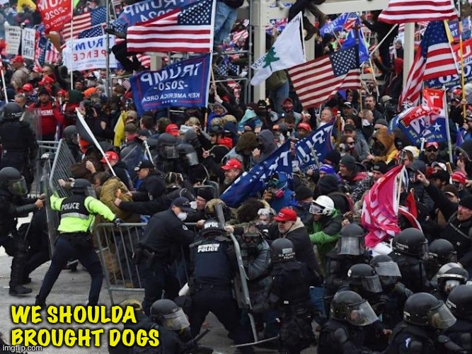 Cop-killer MAGA right wing Capitol Riot January 6th | WE SHOULDA 
BROUGHT DOGS | image tagged in cop-killer maga right wing capitol riot january 6th | made w/ Imgflip meme maker