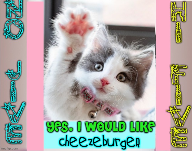 Her Royal Cuteness |  N
O
 
J
I
V
E; H
I
 
F
I
V
E; YES, I WOULD LIKE; cheezeburgeR | image tagged in vince vance,cats,kittens,i love cats,meow,funny cat memes | made w/ Imgflip meme maker