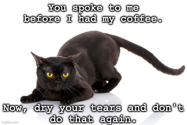 Not before coffee! | You spoke to me before I had my coffee. Now, dry your tears and don't do that again. | image tagged in tears,coffee,not before coffee | made w/ Imgflip meme maker