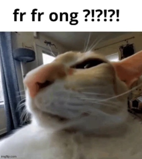 FR FR ONG??!?!?!?! | image tagged in fr fr ong | made w/ Imgflip meme maker