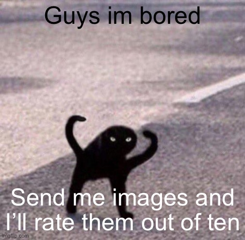 Cursed cat temp | Guys im bored; Send me images and I’ll rate them out of ten | image tagged in cursed cat temp | made w/ Imgflip meme maker