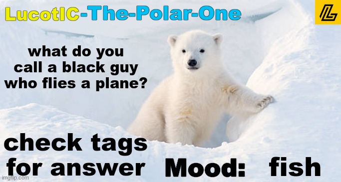 hmmMMMMmmm | what do you call a black guy who flies a plane? check tags for answer; fish | image tagged in you would call him a pilot,because he flies a plane,now stop being racist | made w/ Imgflip meme maker