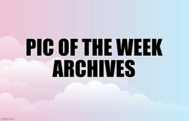 pic of the week archives #1 | PIC OF THE WEEK
ARCHIVES | image tagged in pic of the week,kewlew | made w/ Imgflip meme maker