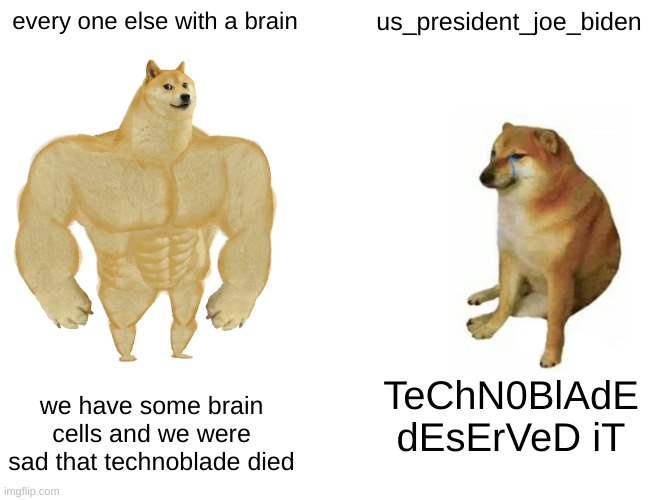 joe is wrong my friends | every one else with a brain; us_president_joe_biden; we have some brain cells and we were sad that technoblade died; TeChN0BlAdE dEsErVeD iT | image tagged in memes,buff doge vs cheems | made w/ Imgflip meme maker