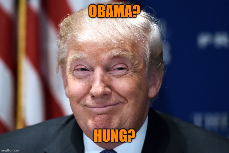 Trump smiles | OBAMA? HUNG? | image tagged in trump smiles | made w/ Imgflip meme maker