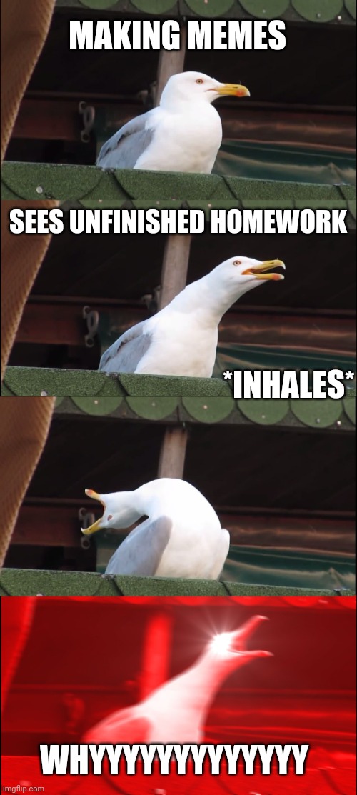 Inhaling Seagull | MAKING MEMES; SEES UNFINISHED HOMEWORK; *INHALES*; WHYYYYYYYYYYYYY | image tagged in memes,inhaling seagull | made w/ Imgflip meme maker