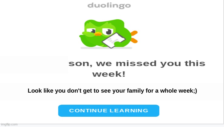 Duo bird strikes again | image tagged in duolingo | made w/ Imgflip meme maker