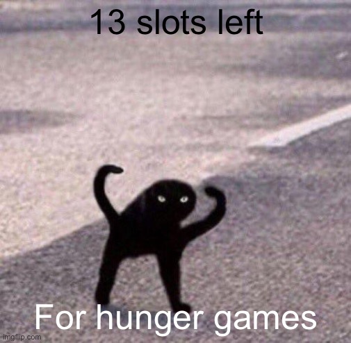 Cursed cat temp | 13 slots left; For hunger games | image tagged in cursed cat temp | made w/ Imgflip meme maker
