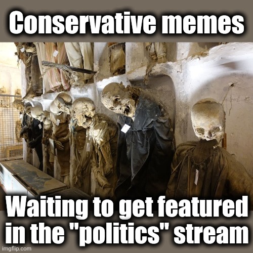 Conservative memes; Waiting to get featured in the "politics" stream | image tagged in memes,conservative,politics stream,featured | made w/ Imgflip meme maker