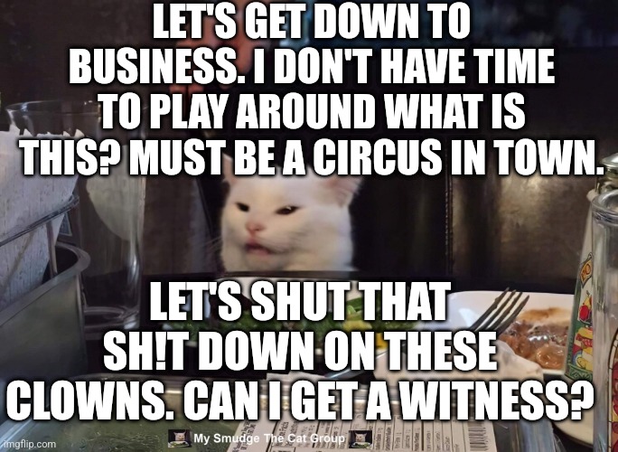 LET'S GET DOWN TO BUSINESS. I DON'T HAVE TIME TO PLAY AROUND WHAT IS THIS? MUST BE A CIRCUS IN TOWN. LET'S SHUT THAT SH!T DOWN ON THESE CLOWNS. CAN I GET A WITNESS? | image tagged in smudge the cat | made w/ Imgflip meme maker