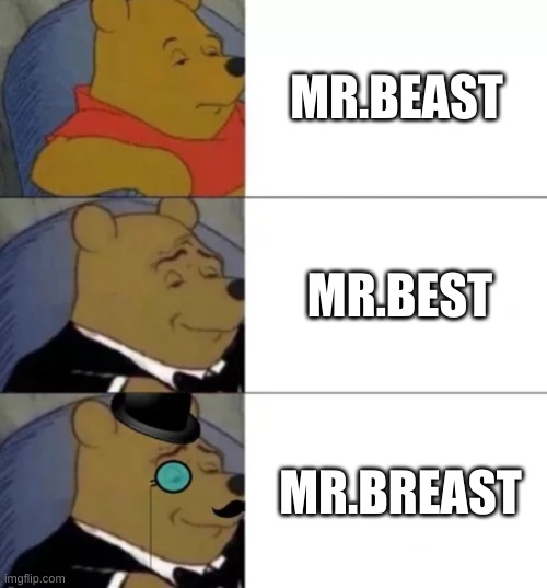 Mr breast | MR.BEAST; MR.BEST; MR.BREAST | image tagged in fancy pooh | made w/ Imgflip meme maker