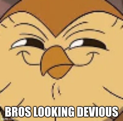 Hooty Owlhouse | BROS LOOKING DEVIOUS | image tagged in hi | made w/ Imgflip meme maker