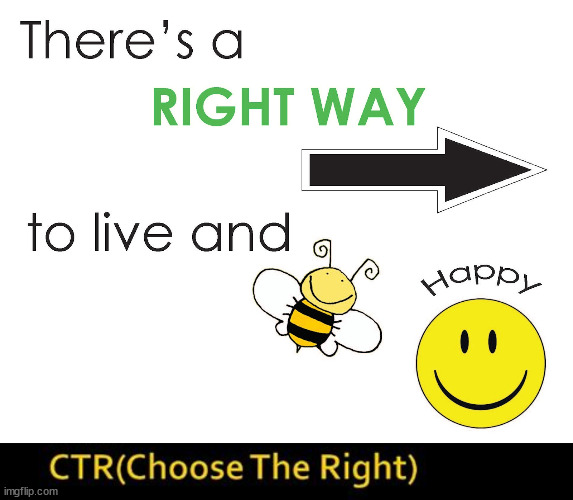 Do the right things | image tagged in doing the right things | made w/ Imgflip meme maker