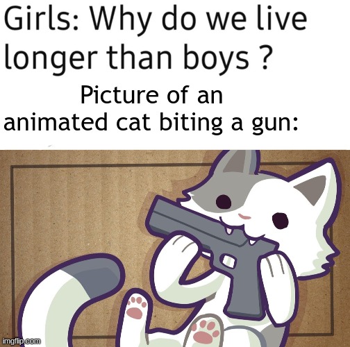 the j | Picture of an animated cat biting a gun: | made w/ Imgflip meme maker