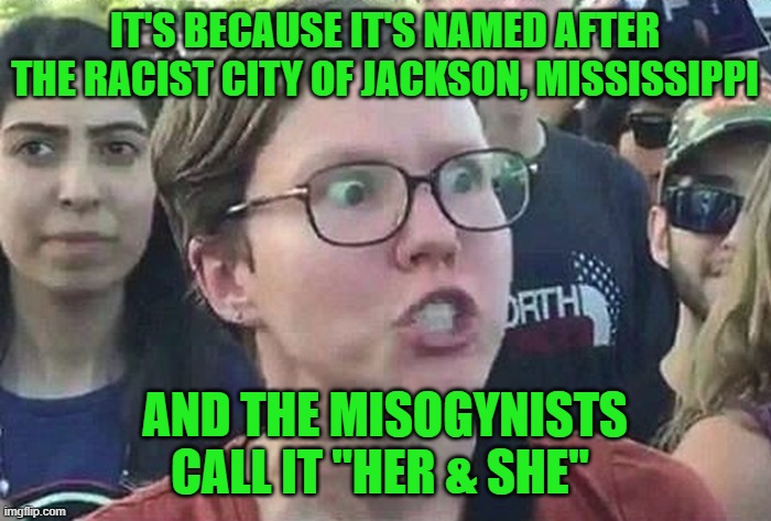 Triggered Liberal | IT'S BECAUSE IT'S NAMED AFTER THE RACIST CITY OF JACKSON, MISSISSIPPI AND THE MISOGYNISTS CALL IT "HER & SHE" | image tagged in triggered liberal | made w/ Imgflip meme maker
