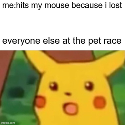 Surprised Pikachu | me:hits my mouse because i lost; everyone else at the pet race | image tagged in memes,surprised pikachu | made w/ Imgflip meme maker