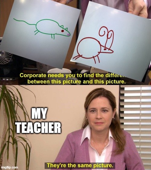 My teacher said this during class | MY TEACHER | image tagged in they are the same picture | made w/ Imgflip meme maker