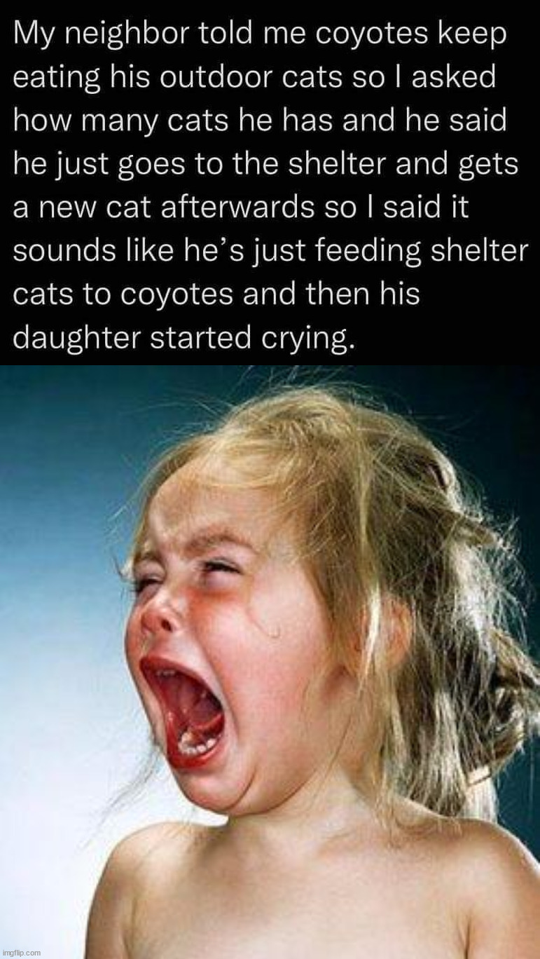 image tagged in crying girl,dark humor | made w/ Imgflip meme maker