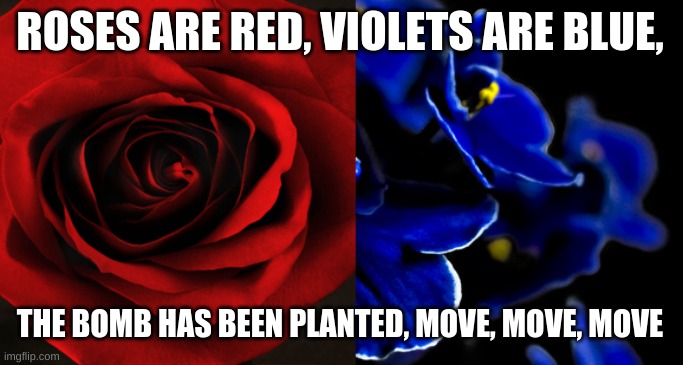 ahhh hecks nah, its da taliban | ROSES ARE RED, VIOLETS ARE BLUE, THE BOMB HAS BEEN PLANTED, MOVE, MOVE, MOVE | image tagged in roses are red violets are blue | made w/ Imgflip meme maker
