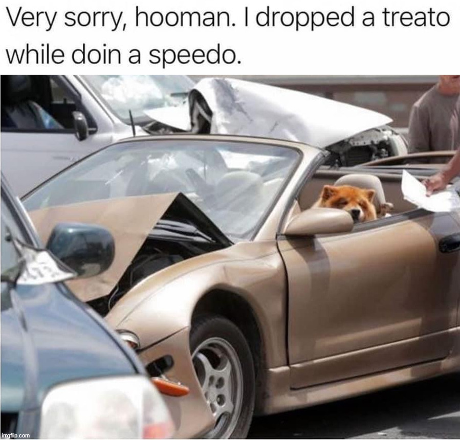 image tagged in repost | made w/ Imgflip meme maker