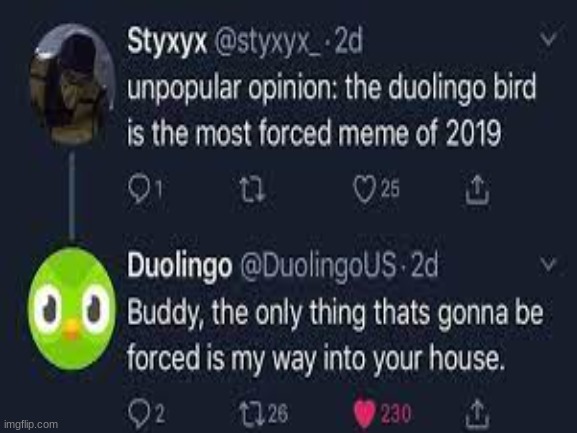 NO DUO NO | image tagged in duolingo,hold up | made w/ Imgflip meme maker