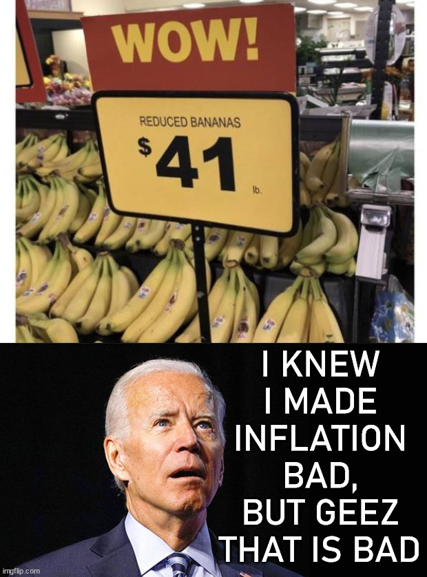 I KNEW I MADE INFLATION BAD, BUT GEEZ THAT IS BAD | image tagged in confused joe biden,political meme | made w/ Imgflip meme maker