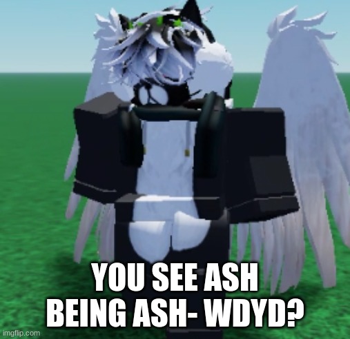 YOU SEE ASH BEING ASH- WDYD? | made w/ Imgflip meme maker