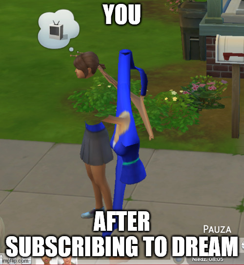 SUBSCRIBING TO DREAM BE LIKE | YOU; AFTER SUBSCRIBING TO DREAM | image tagged in sims 4,dream | made w/ Imgflip meme maker