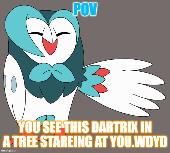 you can be a pokemon or a trainer idc | POV; YOU SEE THIS DARTRIX IN A TREE STAREING AT YOU.WDYD | made w/ Imgflip meme maker