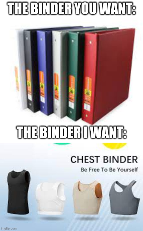 :D | THE BINDER YOU WANT:; THE BINDER I WANT: | image tagged in transgender,non binary,lgbtq | made w/ Imgflip meme maker