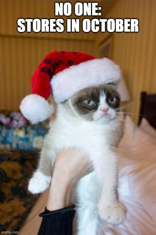 Grumpy Cat Christmas | NO ONE:
STORES IN OCTOBER | image tagged in memes,grumpy cat christmas,grumpy cat | made w/ Imgflip meme maker
