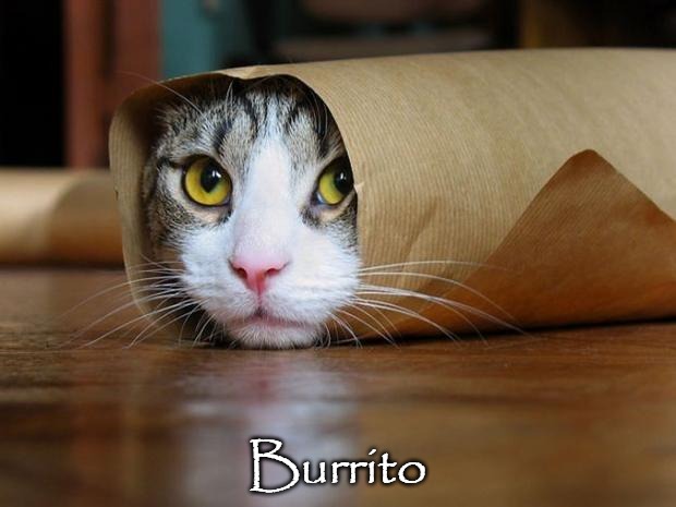 ... | Burrito | made w/ Imgflip meme maker