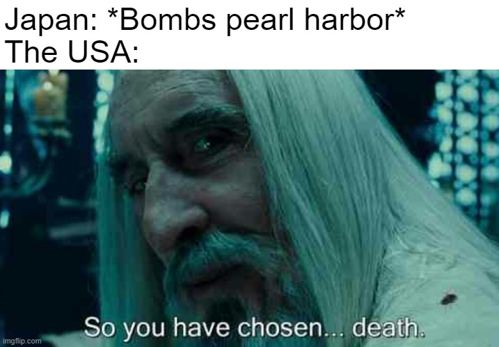 So you have chosen death |  Japan: *Bombs pearl harbor*
The USA: | image tagged in so you have chosen death,world war 2,usa | made w/ Imgflip meme maker