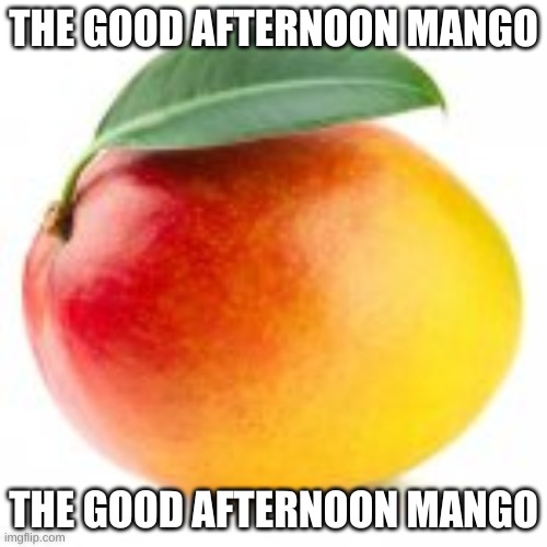 The Good Afternoon Mango | THE GOOD AFTERNOON MANGO; THE GOOD AFTERNOON MANGO | image tagged in the good afternoon mango | made w/ Imgflip meme maker