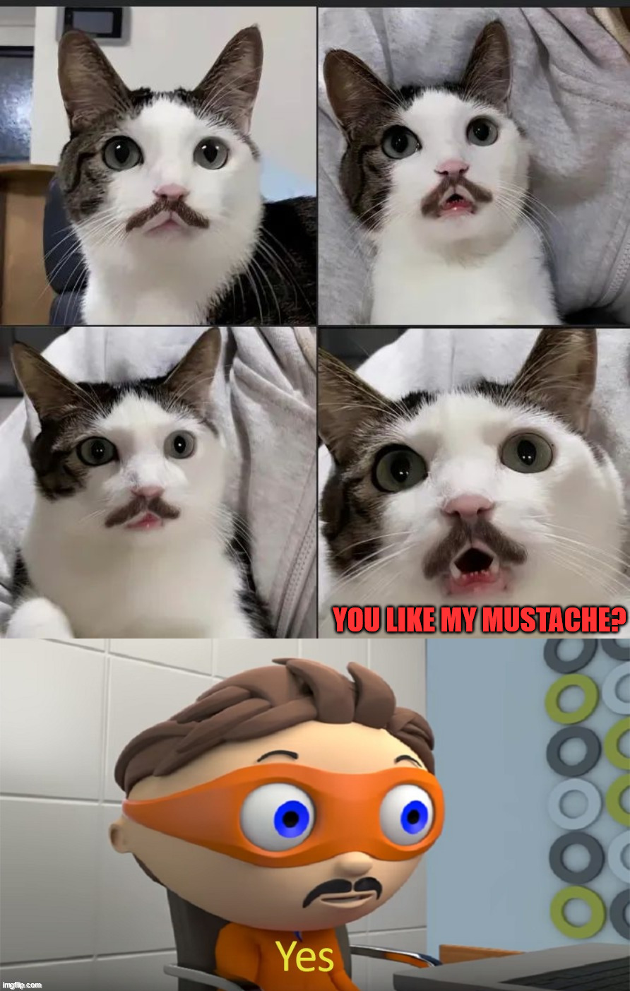 YOU LIKE MY MUSTACHE? | image tagged in moustache guy yes,cats | made w/ Imgflip meme maker