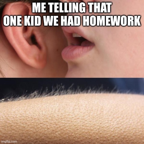 Whisper and Goosebumps | ME TELLING THAT ONE KID WE HAD HOMEWORK | image tagged in whisper and goosebumps | made w/ Imgflip meme maker