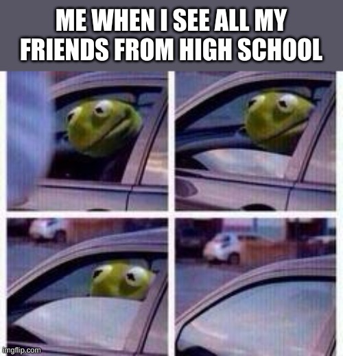 hissssssssssssssssssssssssssssssssssssss | ME WHEN I SEE ALL MY FRIENDS FROM HIGH SCHOOL | image tagged in kermit rolls up window | made w/ Imgflip meme maker