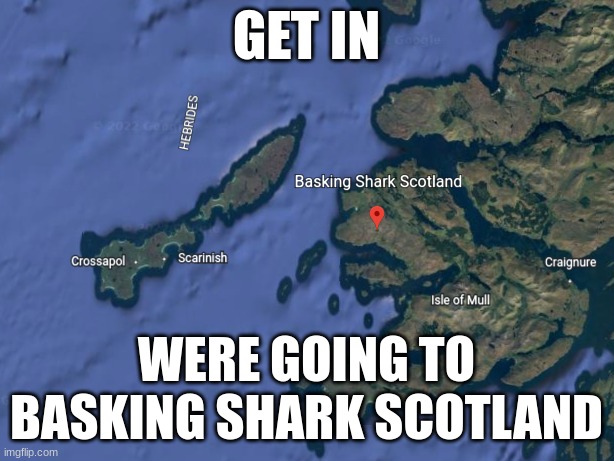 GET IN; WERE GOING TO BASKING SHARK SCOTLAND | made w/ Imgflip meme maker