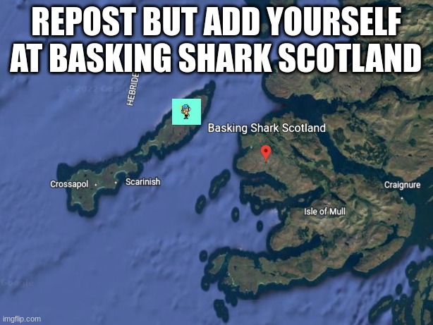 REPOST BUT ADD YOURSELF AT BASKING SHARK SCOTLAND | made w/ Imgflip meme maker