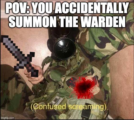 true | POV: YOU ACCIDENTALLY SUMMON THE WARDEN | image tagged in confused screaming but with gas mask | made w/ Imgflip meme maker