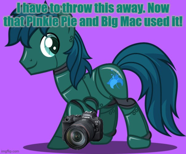 Robo Pony | I have to throw this away. Now that Pinkie Pie and Big Mac used it! | image tagged in robo pony | made w/ Imgflip meme maker