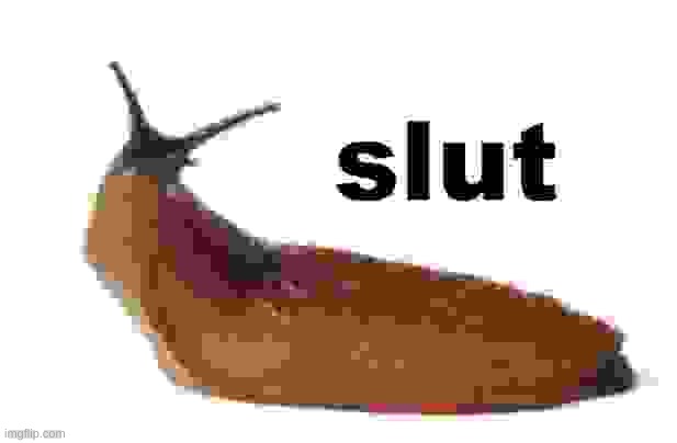 i love the slug | made w/ Imgflip meme maker