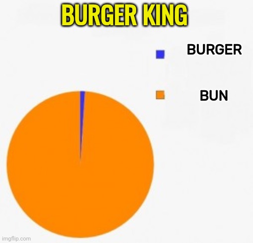 pie chart/ percentage | BURGER KING BURGER 
 
 
BUN | image tagged in pie chart/ percentage | made w/ Imgflip meme maker