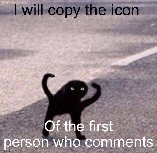 Cursed cat temp | I will copy the icon; Of the first person who comments | image tagged in cursed cat temp | made w/ Imgflip meme maker