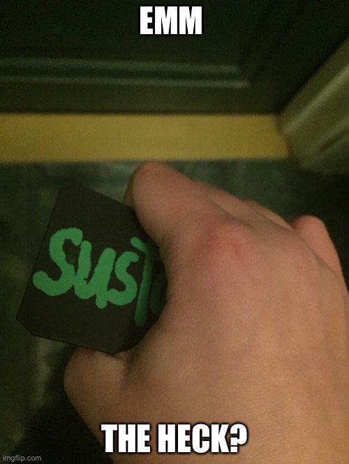 Sus sign? | EMM; THE HECK? | image tagged in sus sign | made w/ Imgflip meme maker