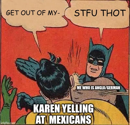 SILENCE | GET OUT OF MY-; STFU THOT; ME WHO IS ANGLO/GERMAN; KAREN YELLING AT  MEXICANS | image tagged in memes,batman slapping robin,quiet | made w/ Imgflip meme maker