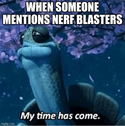 im a nerf professional | WHEN SOMEONE MENTIONS NERF BLASTERS | image tagged in my time has come | made w/ Imgflip meme maker