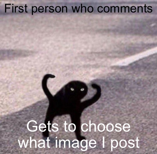 Cursed cat temp | First person who comments; Gets to choose what image I post | image tagged in cursed cat temp | made w/ Imgflip meme maker